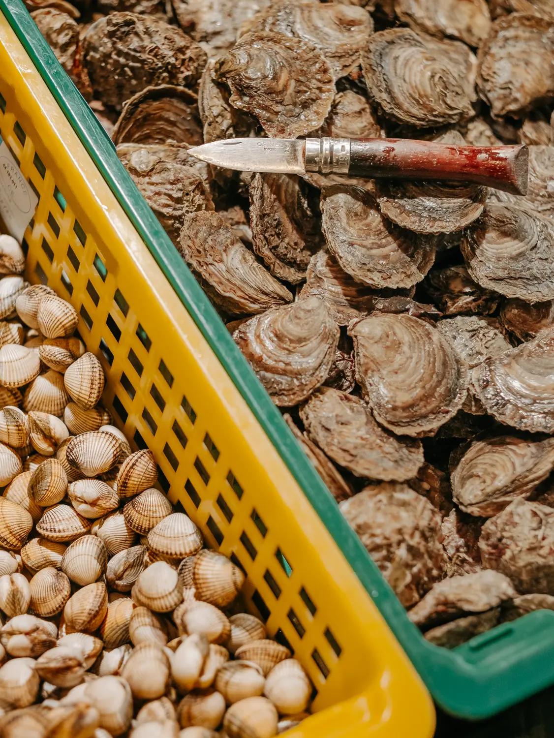 Panier de coques et plateau d'huîtres avec un couteau à huîtres, fruits de mer frais prêts à déguster